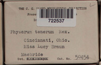 Image Associated With the Occurence